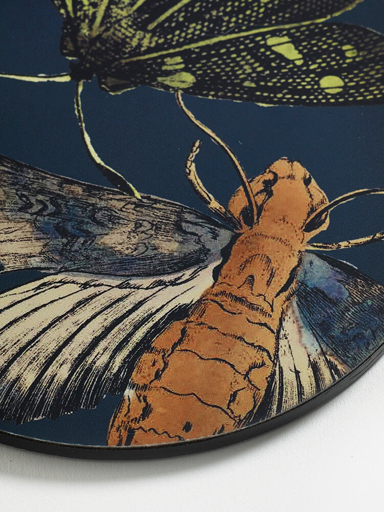 Kew Gardens Living Jewels Midnight Round Coasters (Set of 4)