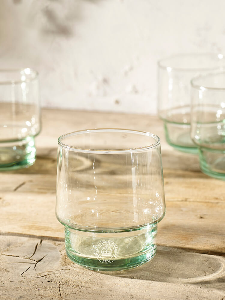 Kew Gardens Living Jewels Recycled Tumbler