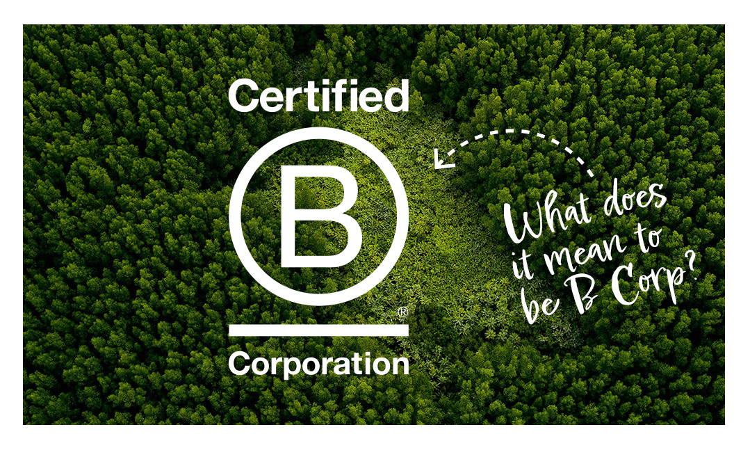What does it mean to be B Corp