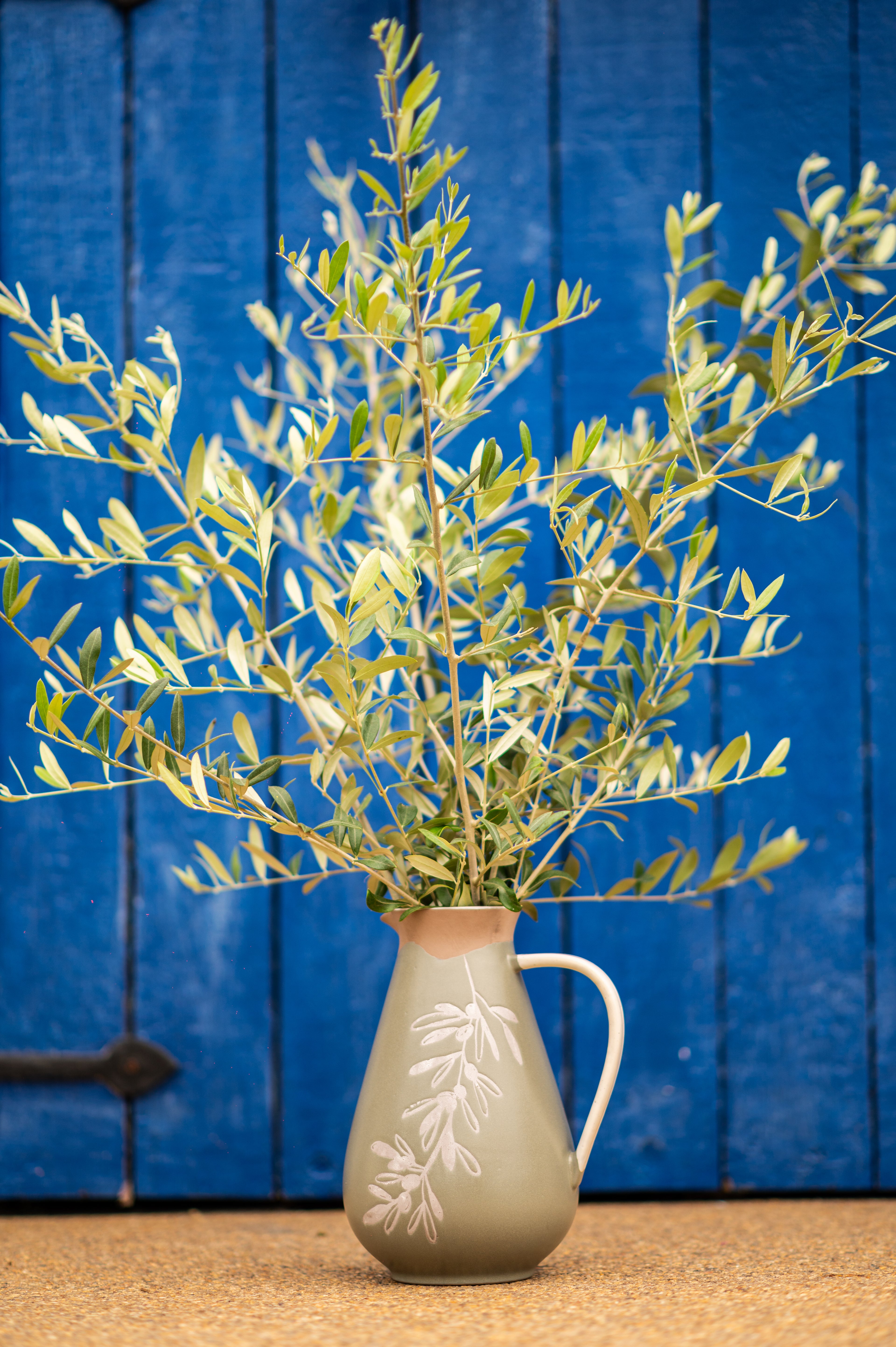 PurerHome x Eden Project Olives Jug