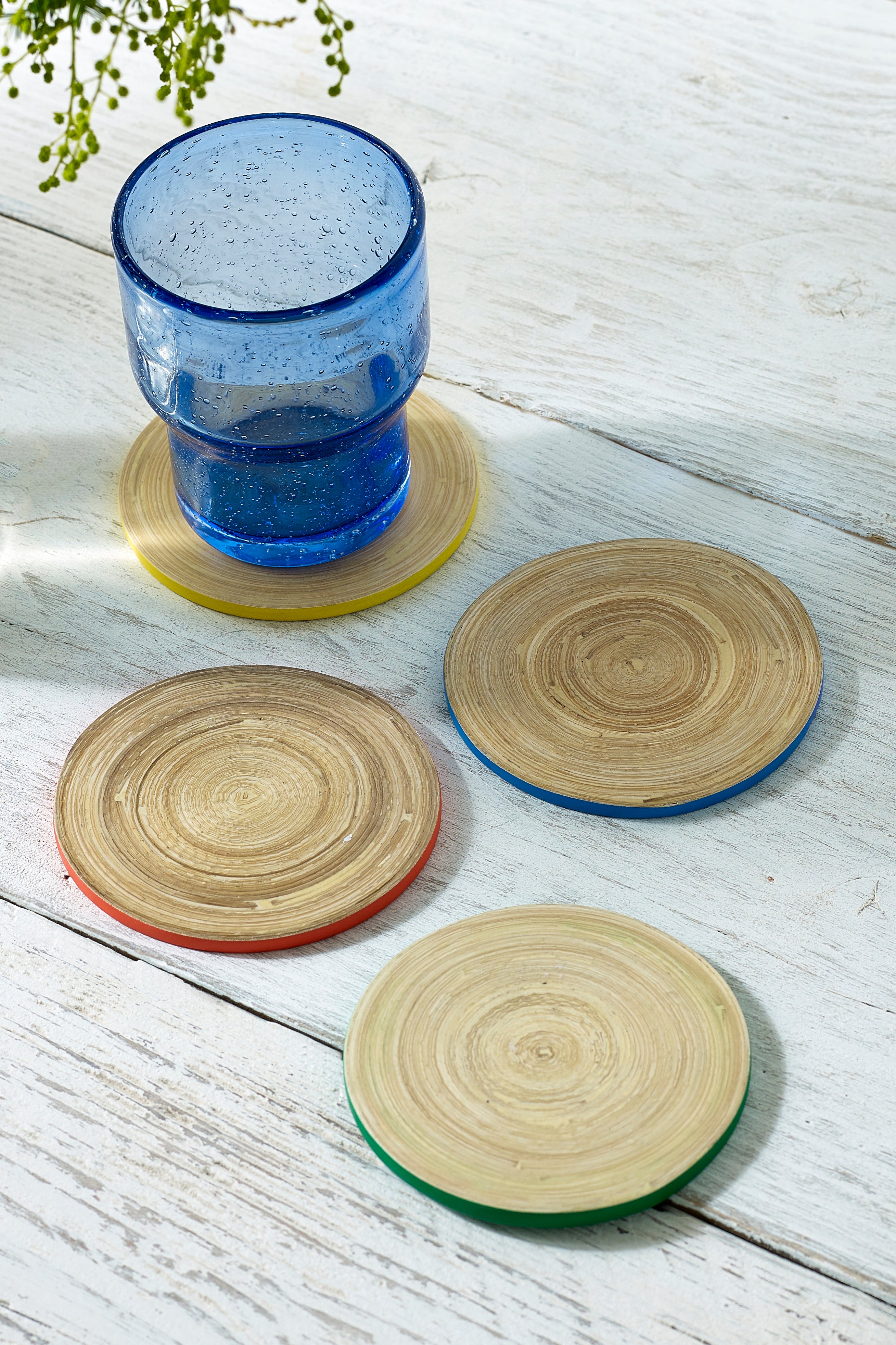 Sur La Table Bamboo Round Coasters (Set of 4)